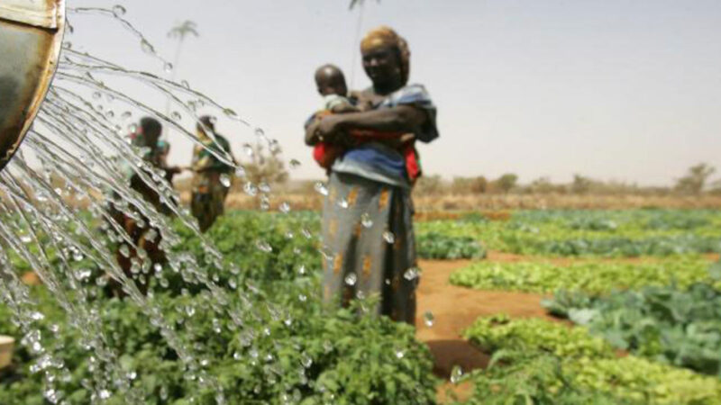 Le Niger renforce sa sécurité alimentaire