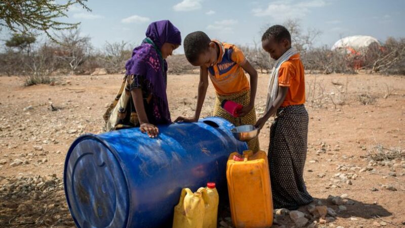 La Somalie obtient de la FAO 25 millions de dollars pour améliorer sa résilience et sa sécurité alimentaire