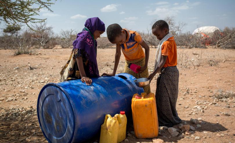 La Somalie obtient de la FAO 25 millions de dollars pour améliorer sa résilience et sa sécurité alimentaire