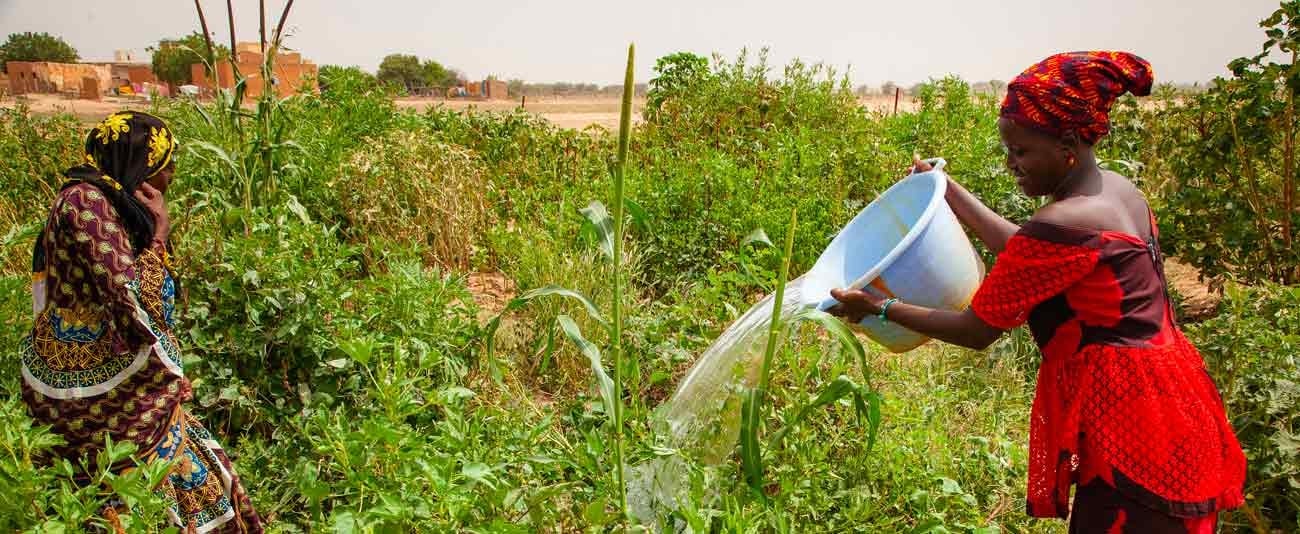 La BAD fait don de 17 millions de dollars à la Mauritanie pour renforcer la résilience des maraîchers féminins