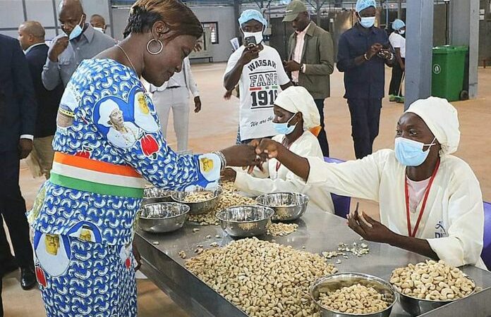 Inauguration en Côte d’Ivoire, de l’usine de transformation de noix de cajou de Boundiali