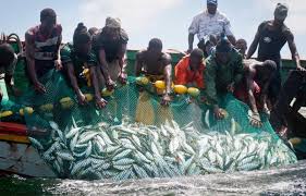 Pêche : La Côte d’Ivoire instaure un repos biologique de un à deux mois