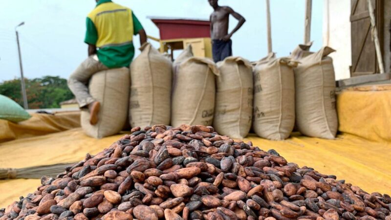 Contrebande agricole: Près de 1100 tonnes de fèves de cacao saisies à la frontière ivoiro-guinéenne