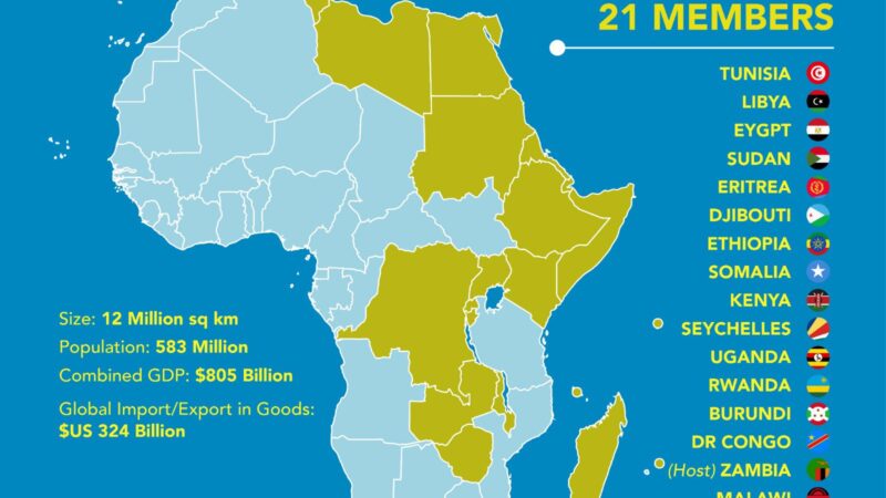 Le COMESA fonde de grands espoirs sur les TIC pour doper les échanges intra-Africains