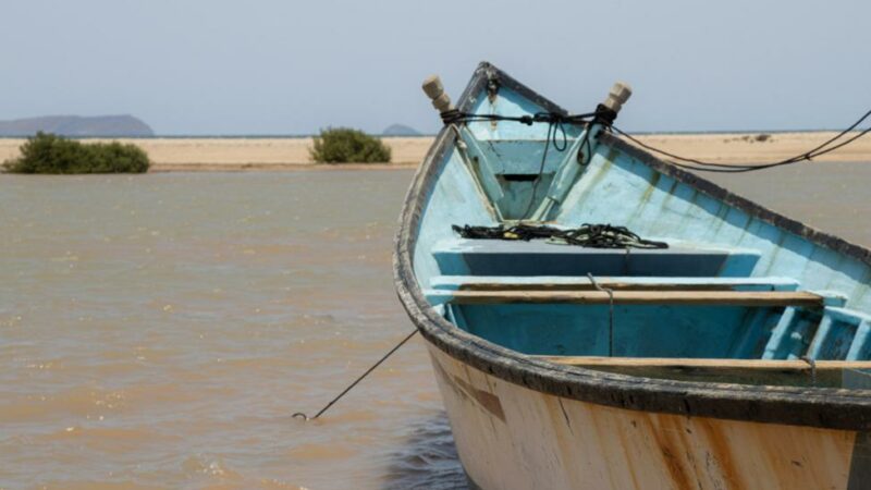 Un incident tragique fait 45 morts et 134 disparus au large de Djibouti (OIM)