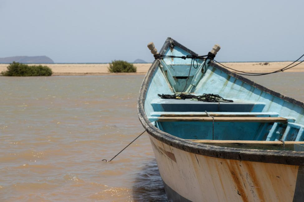 Un incident tragique fait 45 morts et 134 disparus au large de Djibouti (OIM)