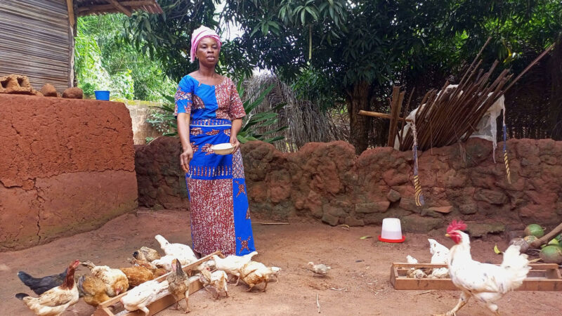 Le Bénin aura bientôt un centre national des produits biologiques à usage vétérinaire