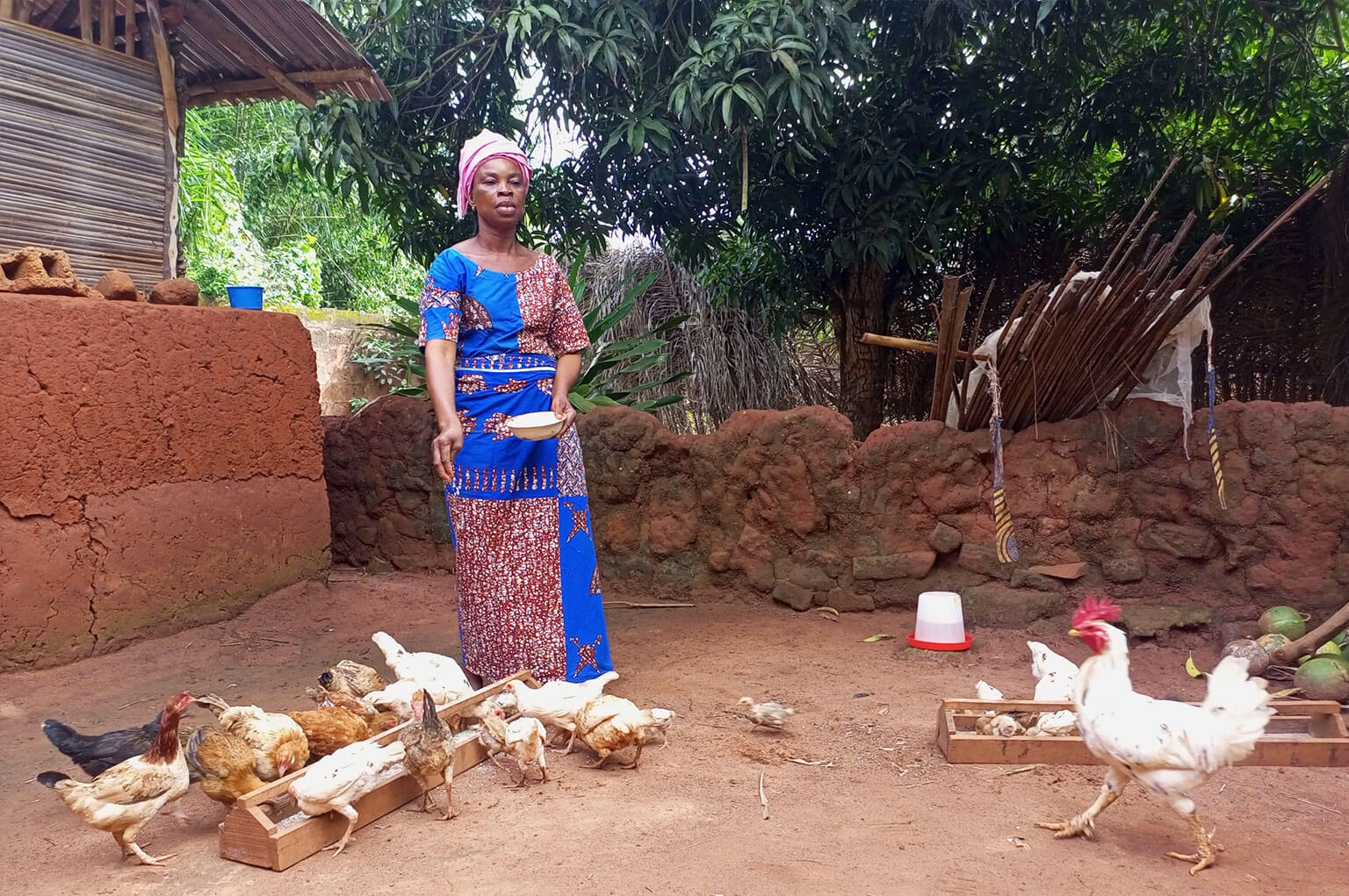 Le Bénin aura bientôt un centre national des produits biologiques à usage vétérinaire