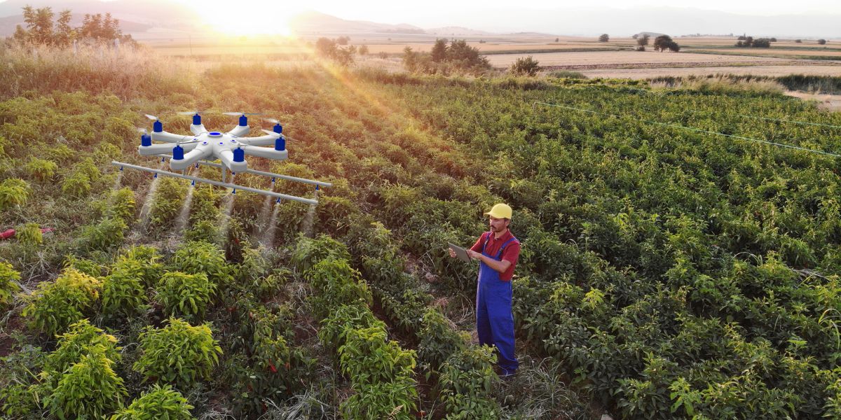 La CEMAC souhaite redynamiser son agriculture délaissée au profit de mines