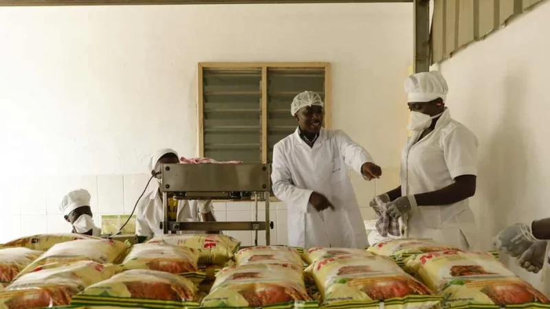 Ecobank Centrafrique bénéficie d’une garantie de transaction de la BAD de cinq millions d’euros pour appuyer les entreprises locales et les PME