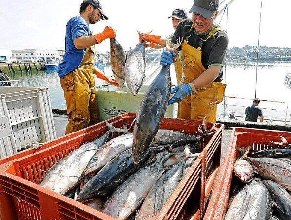 L’UE met provisoirement un terme au protocole de pêche avec le Sénégal