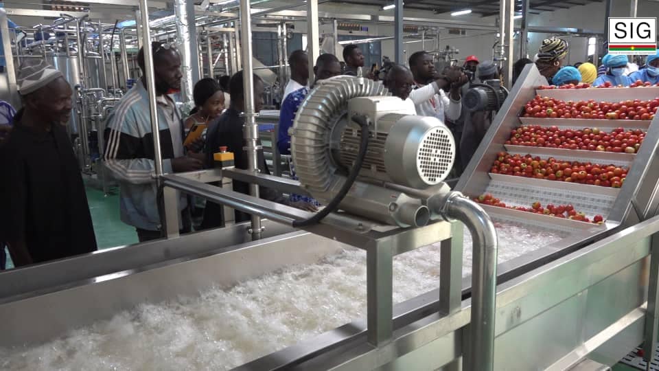 Une deuxième usine de transformation de tomate voit le jour au Burkina Faso