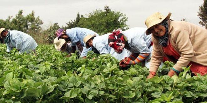 La Banque mondiale débourse des fonds pour le nouveau programme de résilience climatique de l’agriculture au Maroc